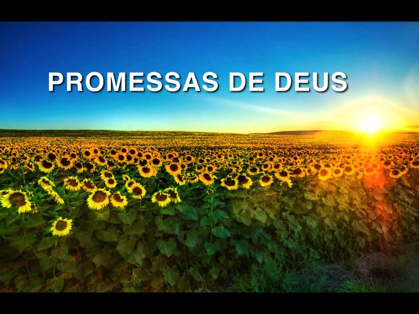 Cremos nas Promessas de Deus?